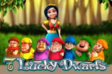 lucky dwarfs